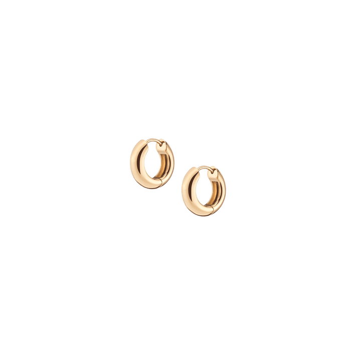 Small Chunky Hinged Hoop Earrings
