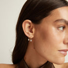 Classic Lab Grown Diamond Drop Earrings