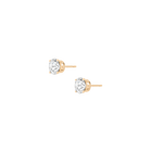 Luxury Round Lab Grown Diamond Studs