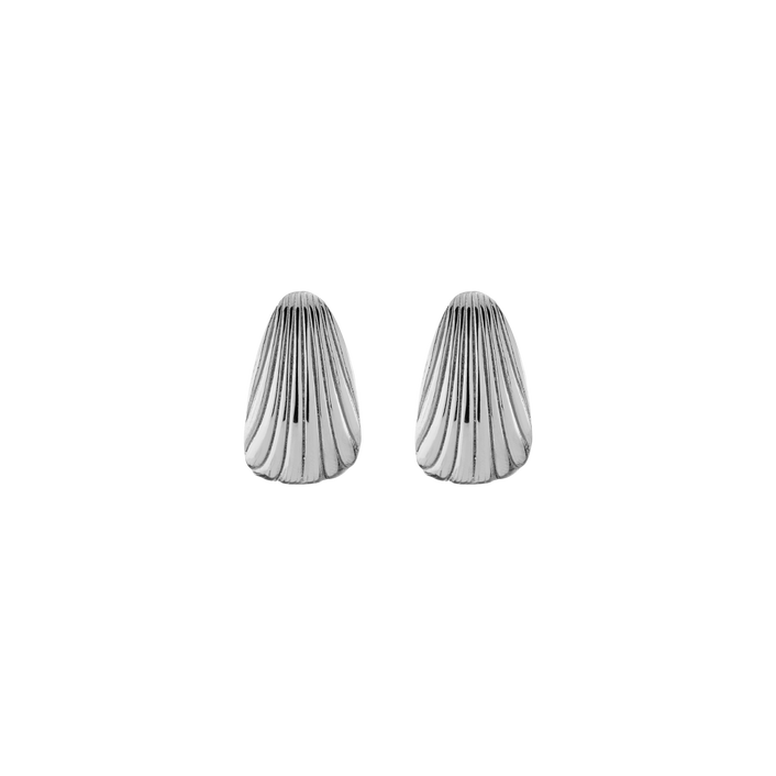 Shell Hinged Hoop Earrings Stainless Steel White Gold First