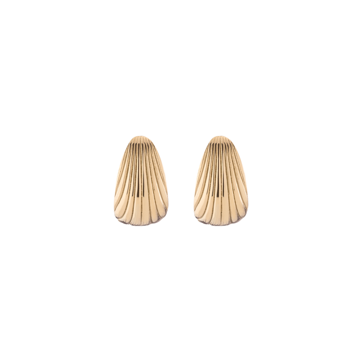 Shell Hinged Hoop Earrings Stainless Steel Yellow Gold First