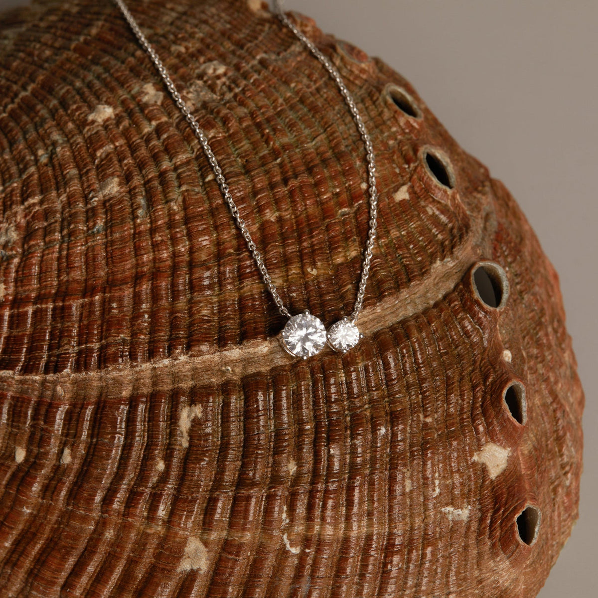 Model. Necklace with a shell pendant on a neutral background