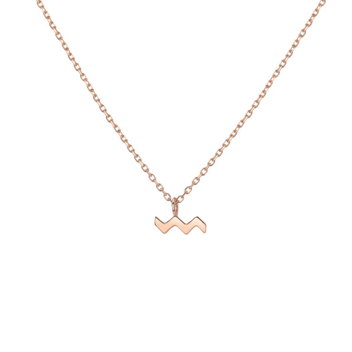 Zodiac Necklace Aquarius Gold Vermeil 14K 18K Rose Gold