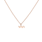 Zodiac Necklace