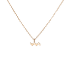 Zodiac Necklace