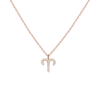 Pave Diamond Zodiac Necklace