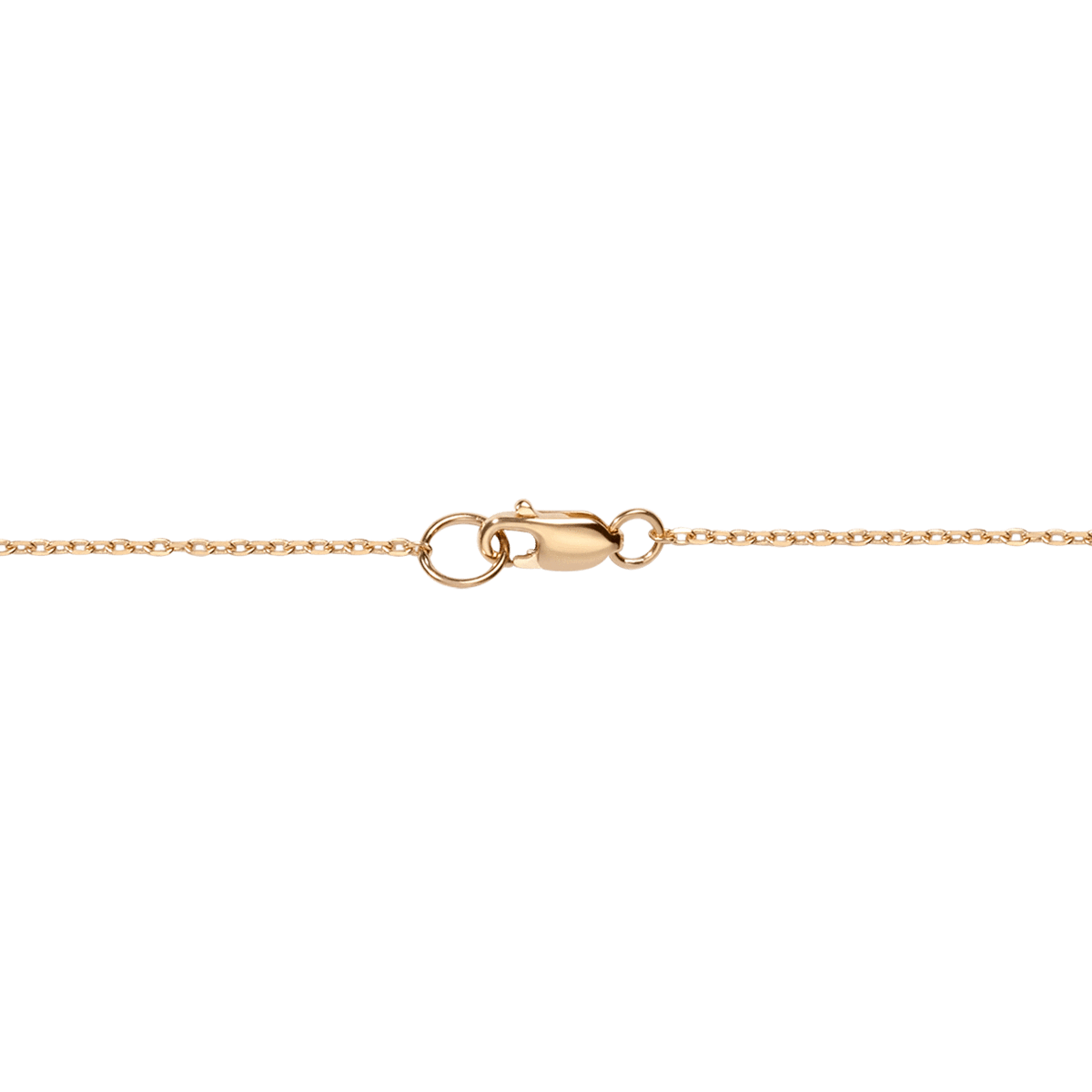Chain Details Model