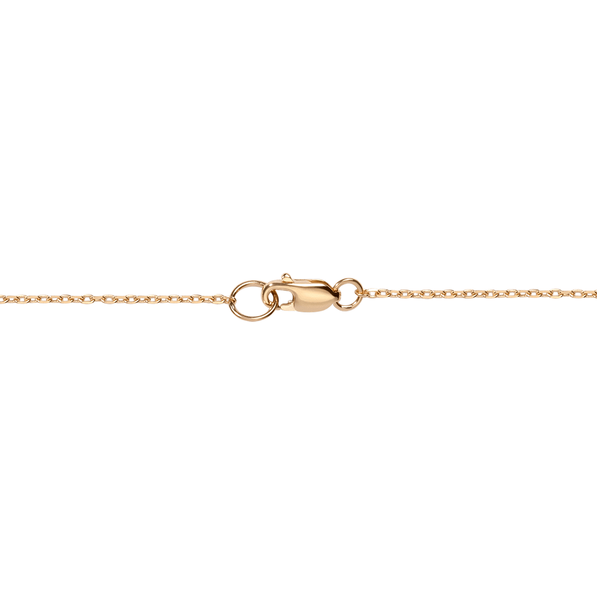 Chain Details Model