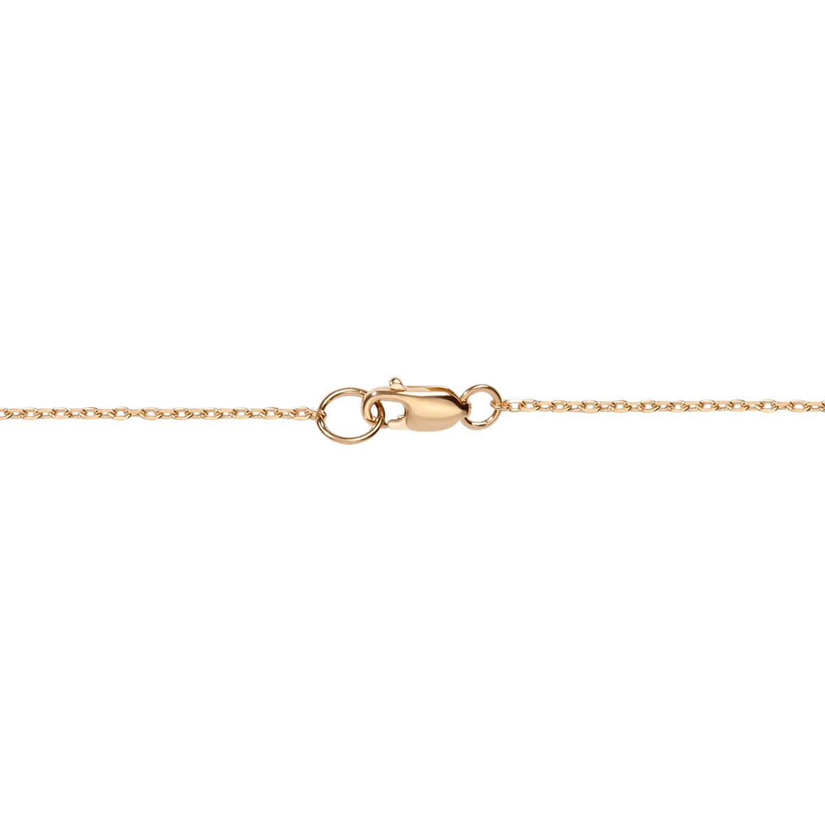 Chain Details Model