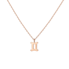 Zodiac Necklace