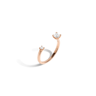 Zeitgeist Ring