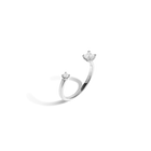 Zeitgeist Ring