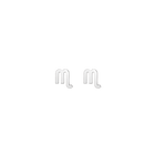 Zodiac Stud Earrings