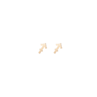 Zodiac Stud Earrings