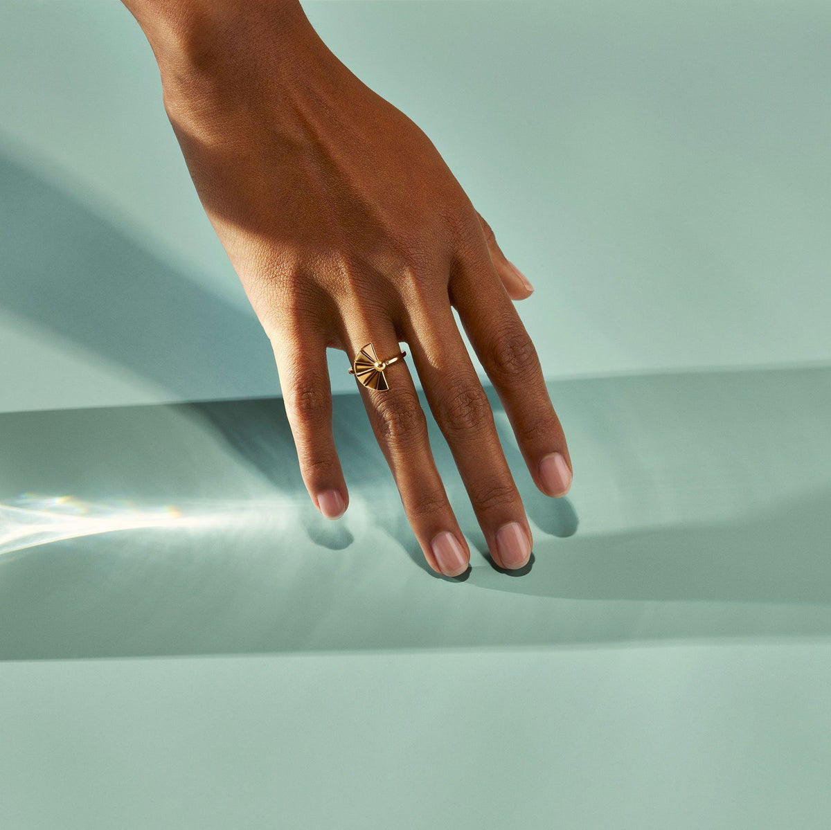 Sensu Ring Lifestyle Model