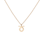 Zodiac Necklace