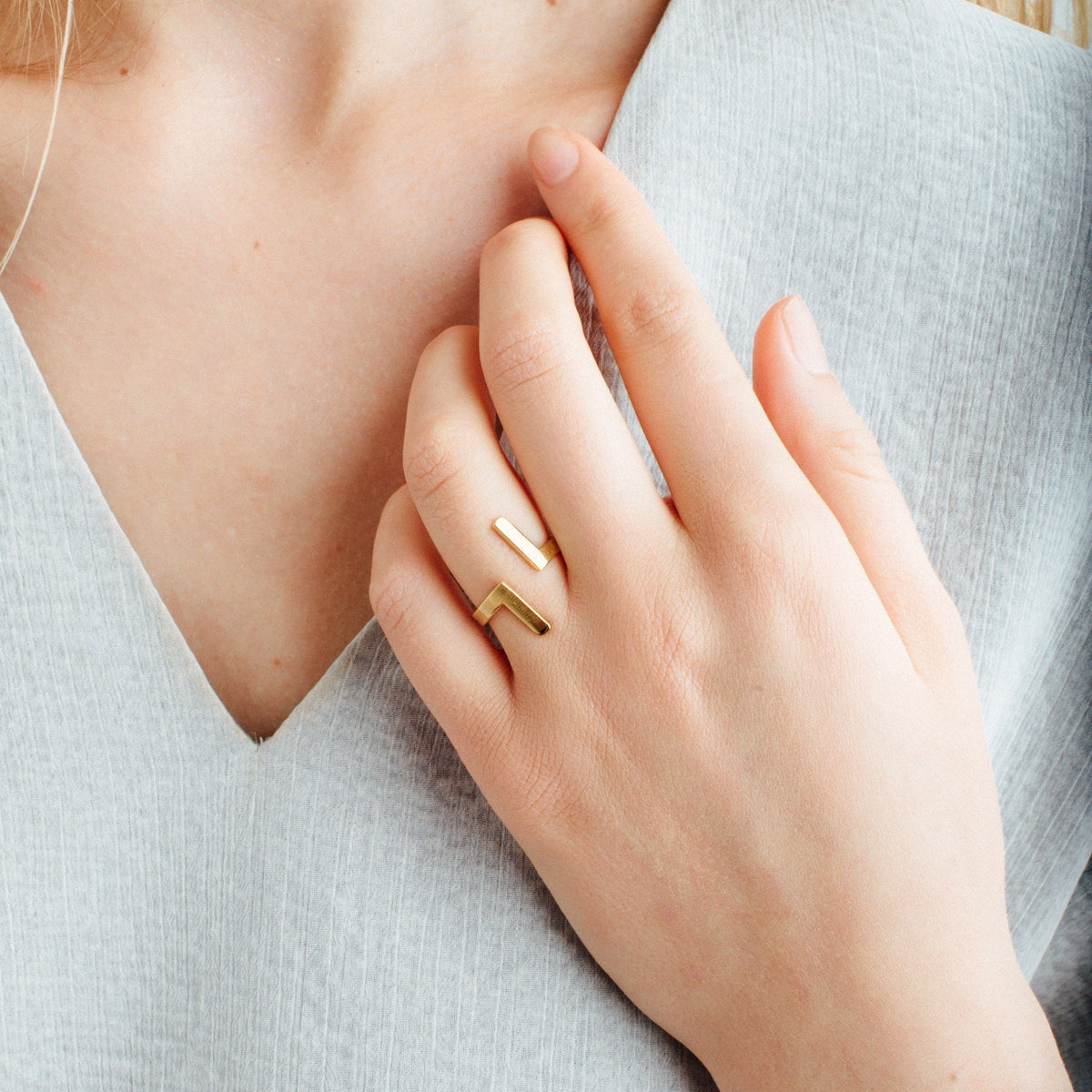 Inverse Ring   Model