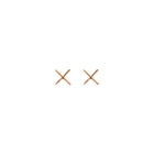 X Earring