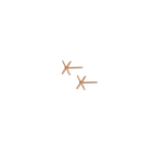 X Earring