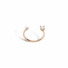 Zeitgeist Ring