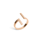 Inverse Ring