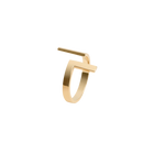 Inverse Ring