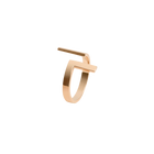 Inverse Ring