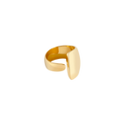 Arc Ring