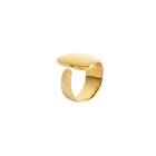 Arc Ring