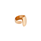 Arc Ring